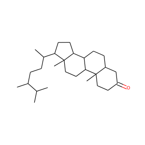 (24R)-5alpha-ergostan-3-one