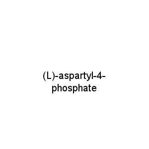 (L)-aspartyl-4-phosphate
