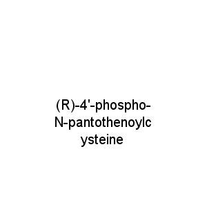 (R)-4'-phospho-N-pantothenoylcysteine