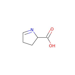 (S)-1-pyrroline-5-carboxylate