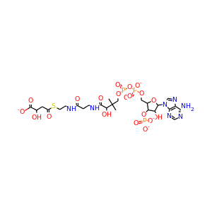 (S)-malyl-CoA