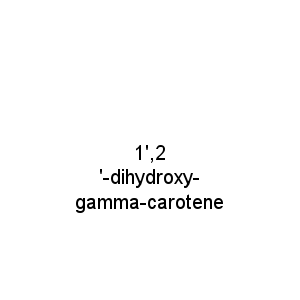 1',2'-dihydroxy-gamma-carotene