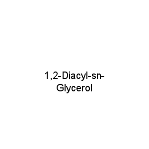 1,2-Diacyl-sn-Glycerol