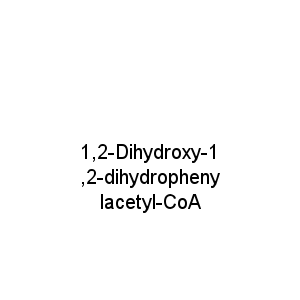 1,2-Dihydroxy-1,2-dihydrophenylacetyl-CoA