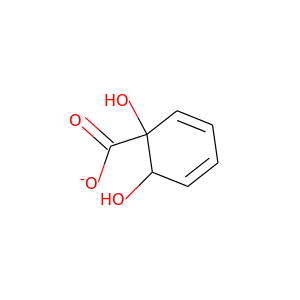 1,2-cis-dihydroxybenzoate