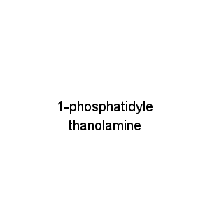 1-phosphatidylethanolamine