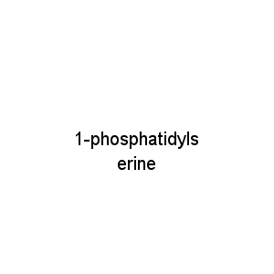 1-phosphatidylserine