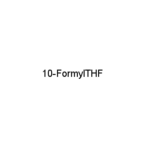 10-FormylTHF