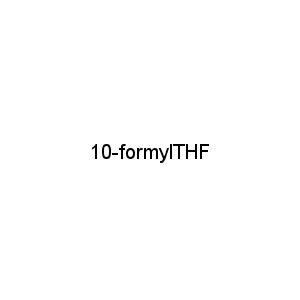 10-formylTHF