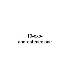 19-oxo-androstenedione