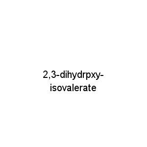 2,3-dihydrpxy-isovalerate