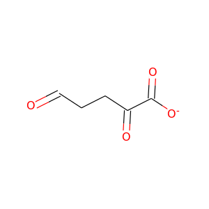 2,5-dioxopentanoate