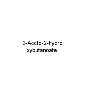 2-Accto-2-hydroxybutanoate