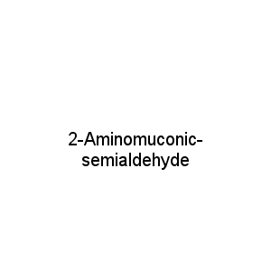 2-Aminomuconic-semialdehyde