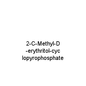 2-C-Methyl-D-erythritol-cyclopyrophosphate