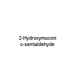 2-Hydroxymuconic-semialdehyde