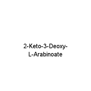 2-Keto-3-Deoxy-L-Arabinoate