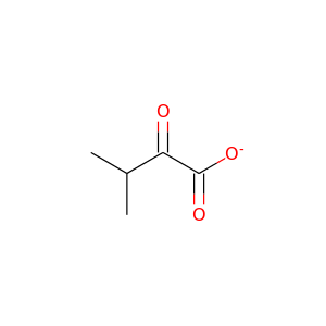 2-Keto-isovalerate