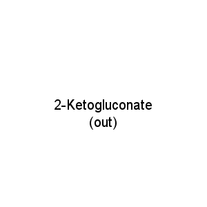 2-Ketogluconate(out)