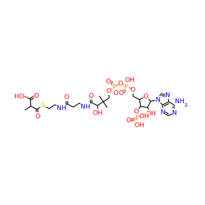 2-Methylmalonyl-CoA