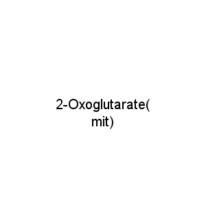 2-Oxoglutarate(mit)