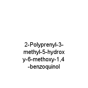 2-Polyprenyl-3-methyl-5-hydroxy-6-methoxy-1,4-benzoquinol