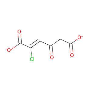 2-chloromaleylacetate