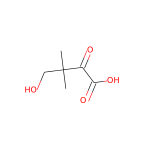 2-dehydropantoate