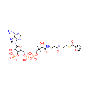 2-furoyl-CoA