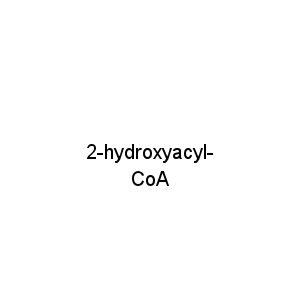 2-hydroxyacyl-CoA