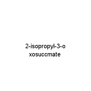 2-isopropyl-3-oxosuccmate