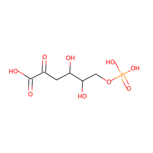 2-keto-3-deoxy-6-phosphogluconate