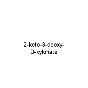 2-keto-3-deoxy-D-xylonate