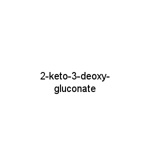 2-keto-3-deoxy-gluconate