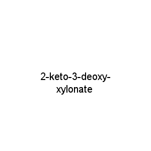 2-keto-3-deoxy-xylonate