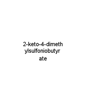 2-keto-4-dimethylsulfoniobutyrate
