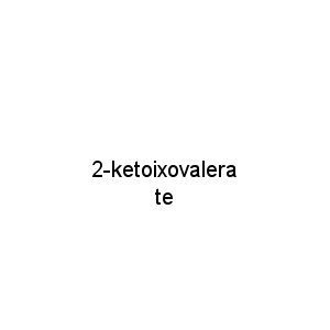 2-ketoixovalerate