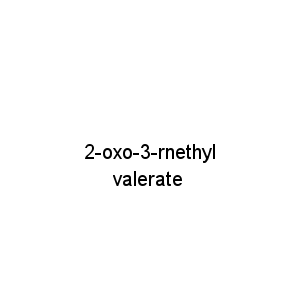2-oxo-3-rnethylvalerate