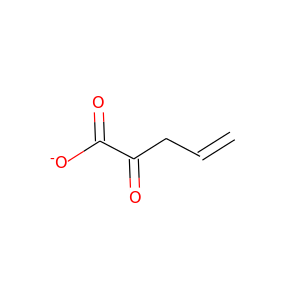 2-oxopent-4-enoate