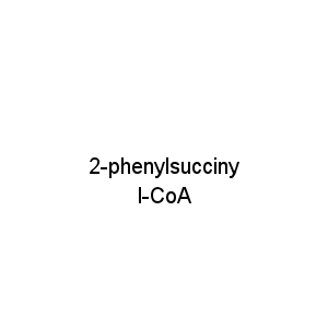 2-phenylsuccinyl-CoA