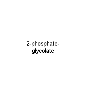 2-phosphate-glycolate