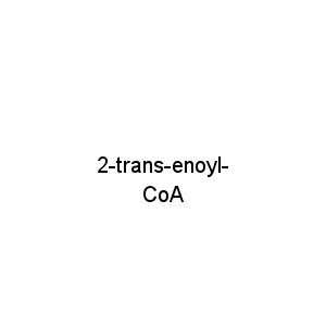 2-trans-enoyl-CoA