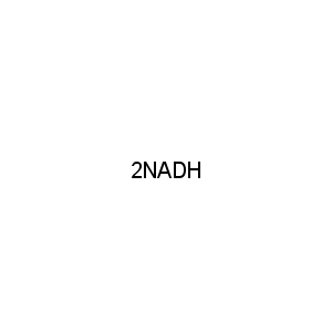 2NADH