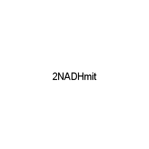 2NADHmit