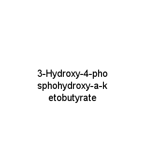 3-Hydroxy-4-phosphohydroxy-a-ketobutyrate