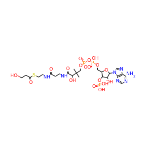 3-Hydroxypropionyl-CoA