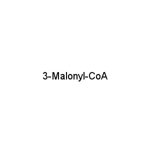 3-Malonyl-CoA