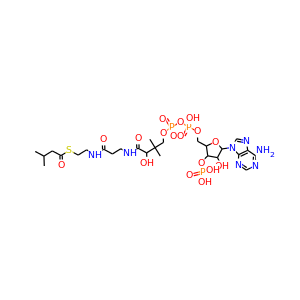 3-Methylbutanoyl-CoA