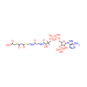 3-Oxoadipyl-CoA