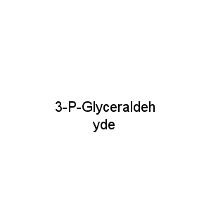3-P-Glyceraldehyde